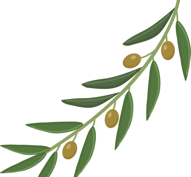 Reminder: Olive Festival, Sunday, 2 – 5 p.m.