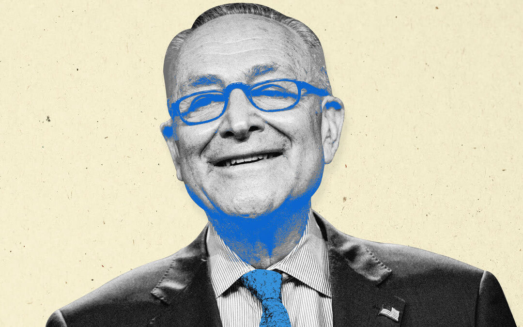Petition: Tell Chuck Schumer to retire